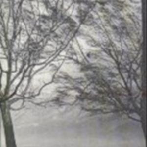 ΤΟ ΔΙΠΛΟ ΒΙΒΛΙΟ