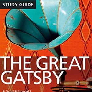THE GREAT GATSBY YORK NOTES STUDY GUIDE