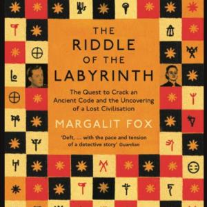 THE RIDDLE OF THE LABYRINTH