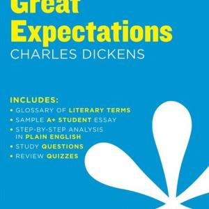 GREAT EXPECTATIONS SPARK NOTES