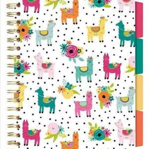 ΤΕΤΡΑΔΙΟ ΣΠΙΡΑΛ 17X25 CARPE DIEM LLAMA