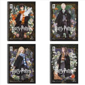 ΤΕΤΡΑΔΙΟ ΣΠΙΡΑΛ HARRY POTTER DEATHLY HALLOWS Α4 2Θ