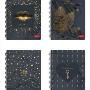 ΤΕΤΡΑΔΙΟ ΣΠΙΡΑΛ 17x25 2Θ TETTRIS GOLD TEENS