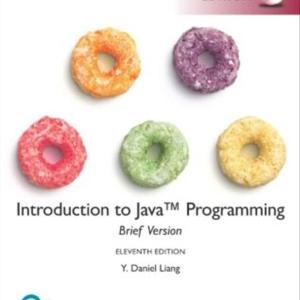 INTRODUCTION TO JAVA PROGRAMMING