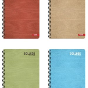 ΤΕΤΡΑΔΙΟ ΣΠΙΡΑΛ Α4 2Θ TETTRIS COLLEGE II